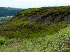 
Cwmbyrgwm Colliery Upper tips, June 2013